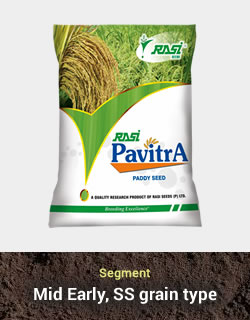 Improved Paddy - Pavitra