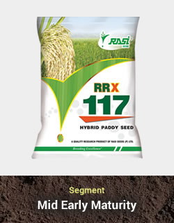 Hy. Paddy - RRX 117