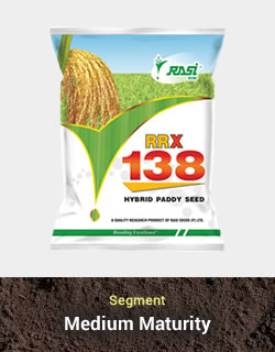 Hy. Paddy - RRX 138