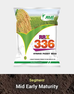 Hy. Paddy - RRX 336