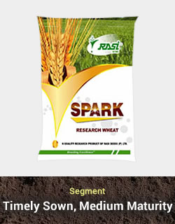 Improved Wheat - Spark