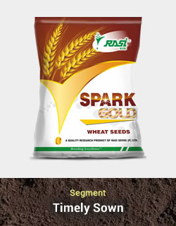 Improved Wheat – Spark Gold