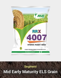 Hy. Paddy – RRX 4007