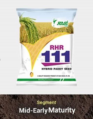 Hy. Paddy – RHR-111