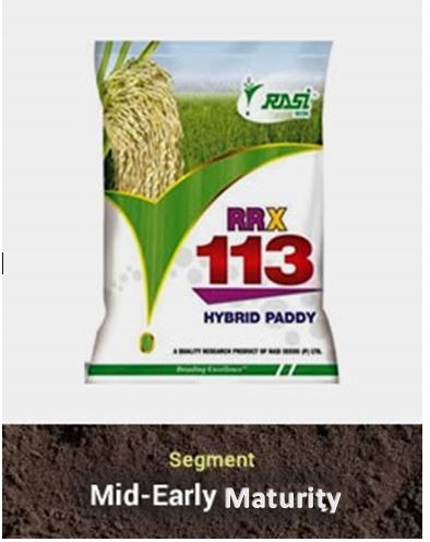 Hy. Paddy – RRX-113